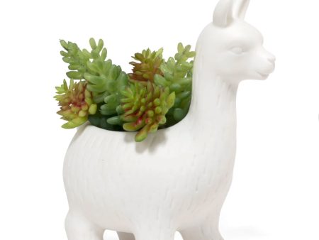 Lloyd The Llama Planter Supply