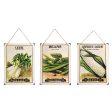 Seed Pack Wall Art, Asst. of 3 For Sale