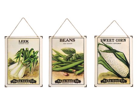 Seed Pack Wall Art, Asst. of 3 For Sale