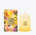 Flower Show 13.4 Oz. Glasshouse Candle  Blossoms & Blooms  Online Sale