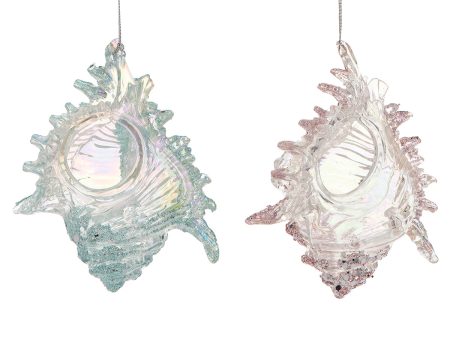 Glitter Murex Shell Ornaments, Asst. of 2 Online Hot Sale