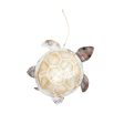 Sandy Bottom Sea Turtle Ornament Online Hot Sale