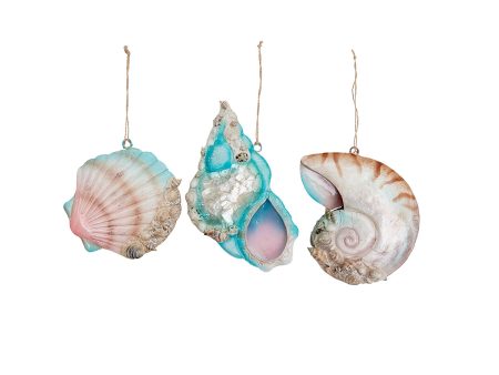 Coral Reef Shell Ornaments, Asst. of 3 Sale