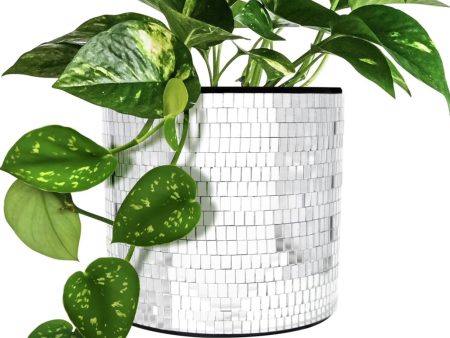 Disco Tabletop Planter Online Hot Sale