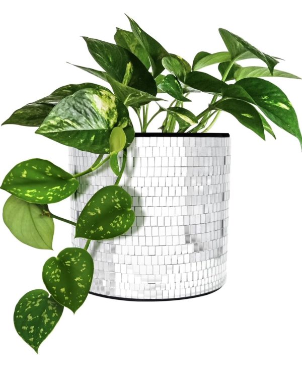 Disco Tabletop Planter Online Hot Sale